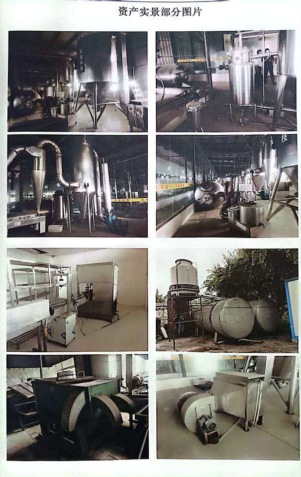 1月9日德宏一宗工业用地使用权、地上建（构）筑物及部分机器设备网络拍卖公告