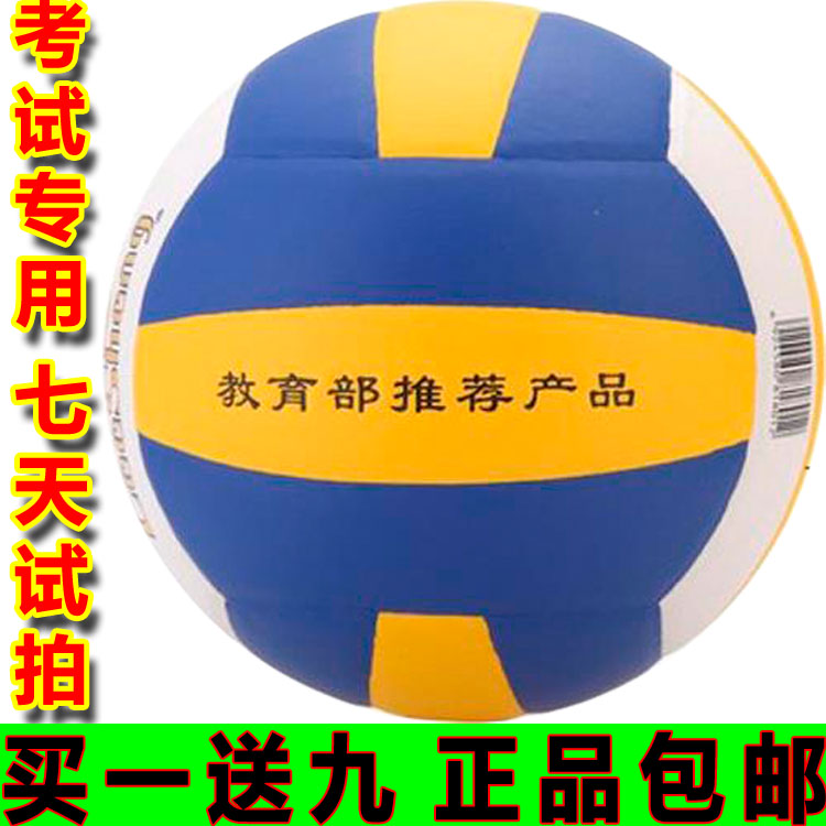 Ballon de volley - Ref 2015258 Image 1