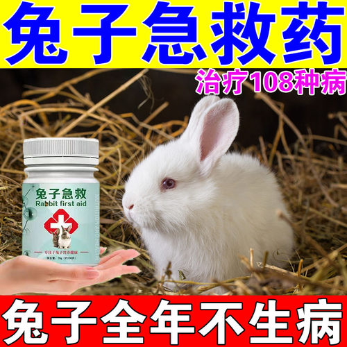 兔子常备药兔病预防感冒发烧腹胀稀腹拉稀专用药兔子全套宠物兔