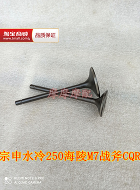适用于宗申水冷CB250海陵M7气门越野车CQR250战斧250越野车气门