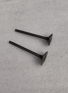 适用于宗申CB125嘉JL陵CB133适用CB150链条机WY翼侠JH150GY-3气门