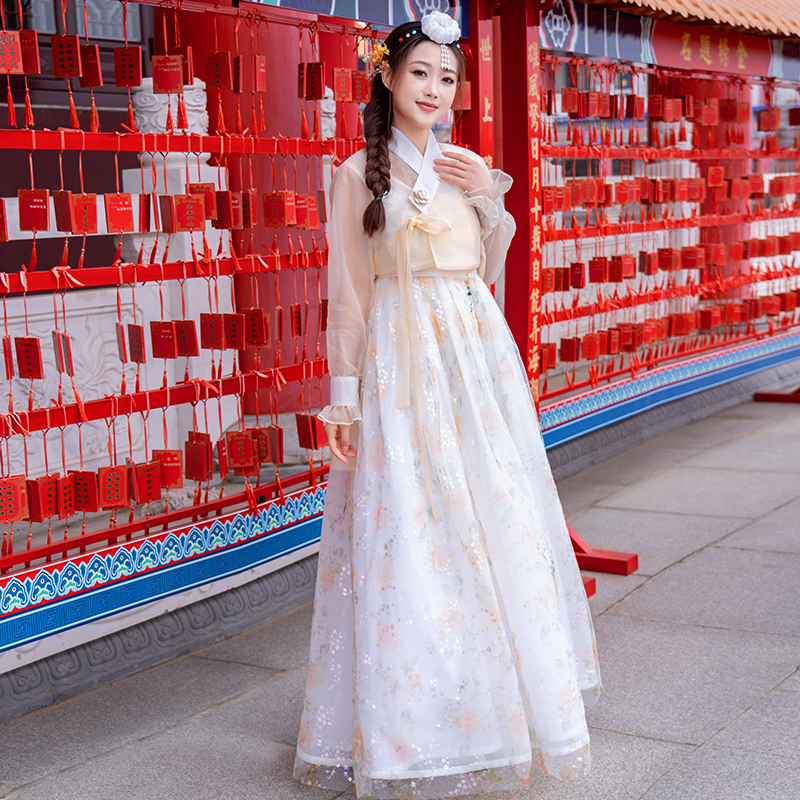 新款韩服女朝鲜民服风延吉传统宫廷超仙绣花蕾丝舞蹈演出写真拍照