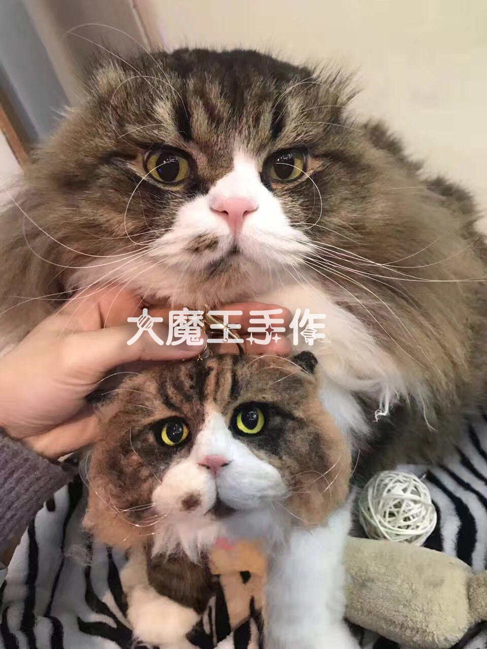 大魔王羊毛毡宠物仿真定制来图猫狗抖音钥匙扣车挂戳戳乐成品包邮