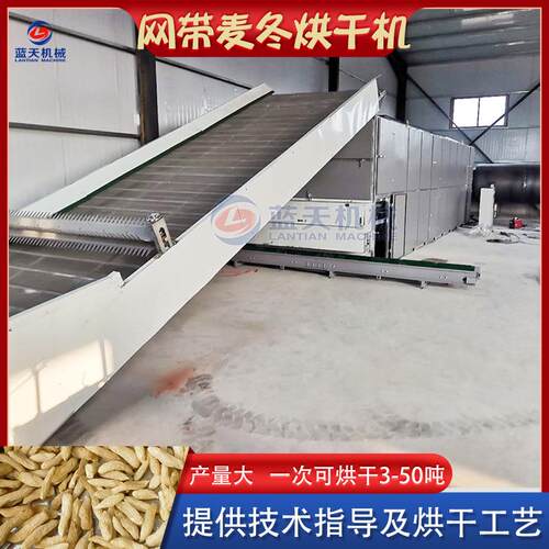 网带式麦冬烘干机 大型麦门冬中药材烘干设备 全自动麦冬茶干燥机