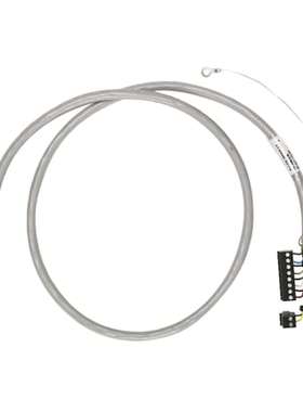 AB 1492-ACABLE025D Allen Bradley PLC 电缆 于1746模拟输入输出