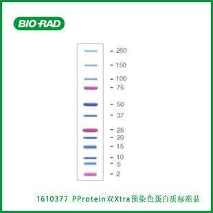 伯乐Bio-Rad 1610377 Precision Plus Protein? Dual Xtra Prest
