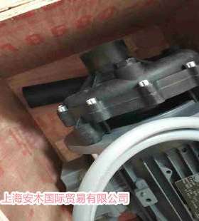 Perfecta电机泵循环水泵P 50 SS304 H/D-106-1 5kW