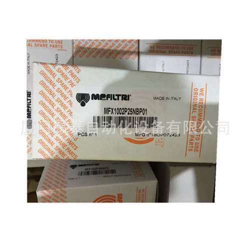 MPH1101EDSAG20A25P01 意大利 翡翠 滤芯 过滤器