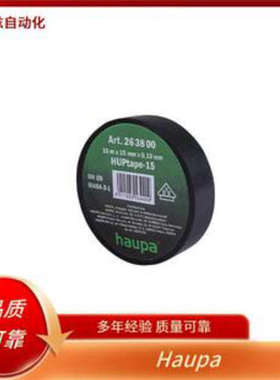 100704 A 冲孔工具 213080/E 电缆引导器 Haupa 德国