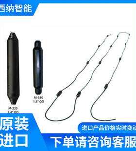 GEOSPACE地震检波器SeisCable