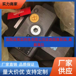 力士乐柱塞泵R902418820液压泵A4VSO40DR PPB13N00油泵马达 30R