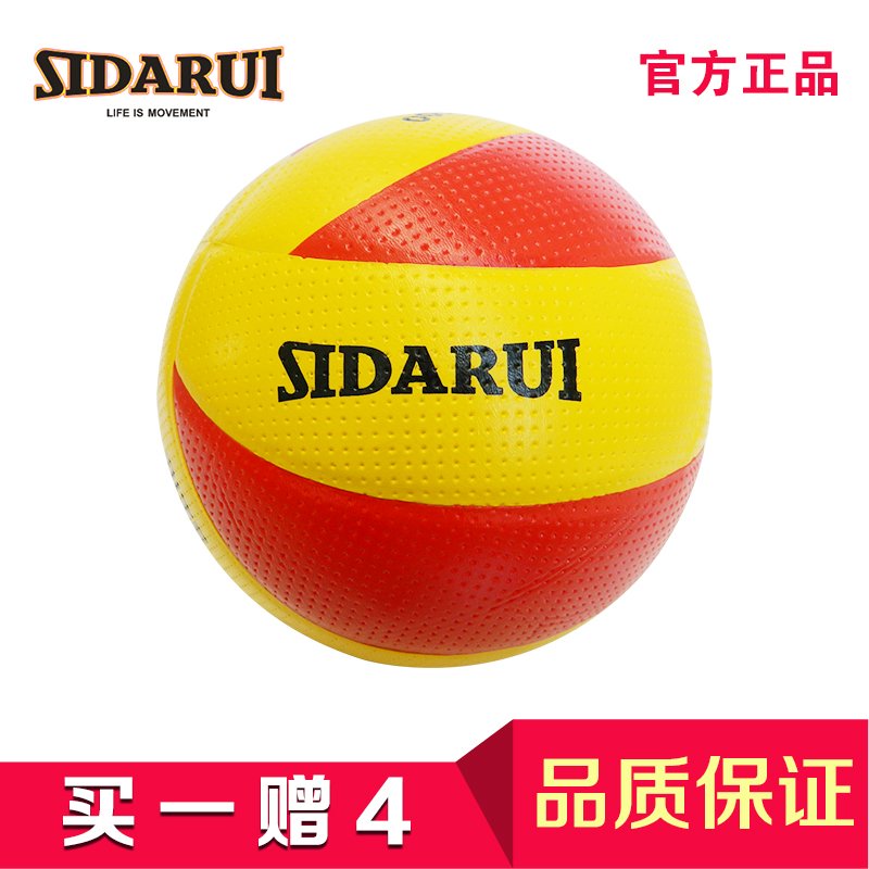 Ballon de volley - Ref 2011272 Image 1