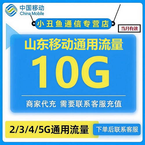 山东移动流量10G移动流量充值4G5G全国通用手机流量充值 当月有效