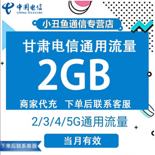 甘肃电信流量充值2GB当月有效国内流量月末应急包支持4G5G网络