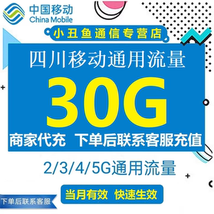 5G全国通用流量当月有效 四川移动流量充值30GB流量包叠加包2
