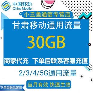 甘肃移动手机流量充值30GB当月有效3/4/5G通用国内流量加油包