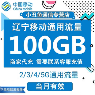辽宁移动流量充值100GB流量包叠加包3/4/5G全国通用流量当月有效