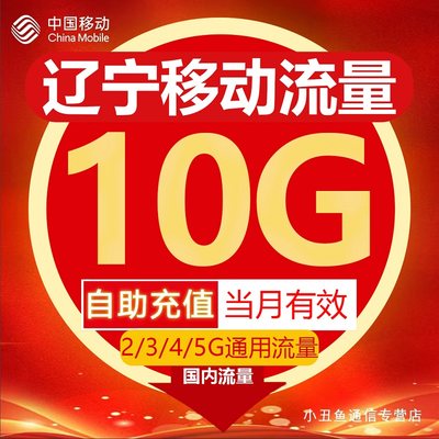 辽宁移动流量充值10GB流量包叠加包2/3/4/5G全国通用流量当月有效