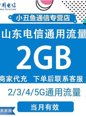 山东电信流量充值2GB流量月包 电信2G3G4G国内通用流量包当月有效