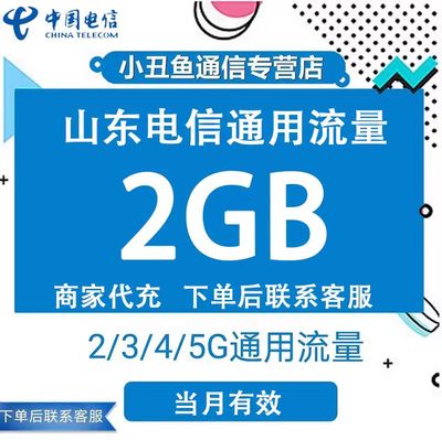 山东电信流量充值2GB流量月包 电信2G3G4G国内通用流量包当月有效