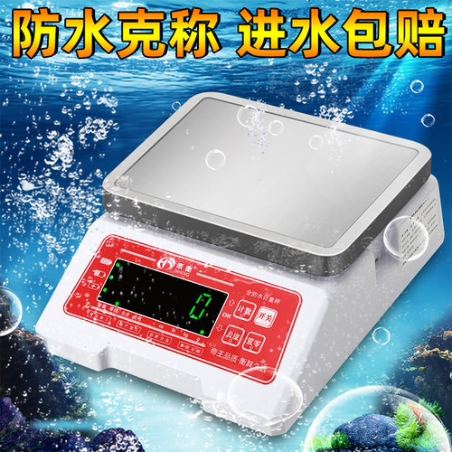 帝衡防水秤食品厂分拣专用秤克称