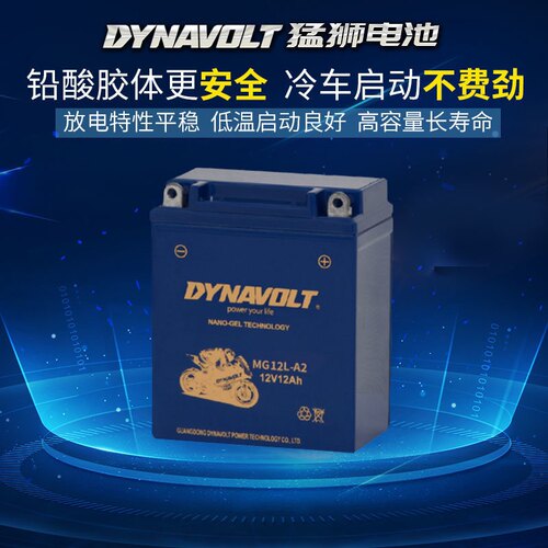 猛狮摩托车电瓶YB12A-BS宝马F650gs标志200雅马哈SR250免维护电池