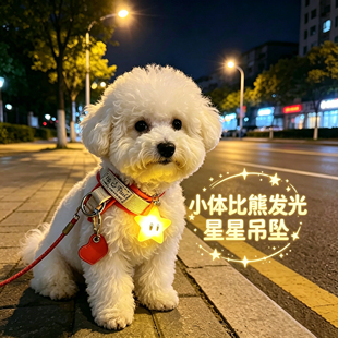 小体比熊专用狗狗夜间发光吊坠项圈夜晚发光灯防走失遛狗胸背晚上