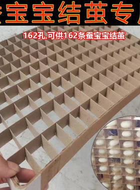 蚕宝宝吐丝专用结茧簇方格吐丝上架道具结茧簇养蚕吐丝网新鲜鲜叶