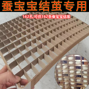 蚕宝宝吐丝专用结茧簇方格吐丝上架道具结茧簇养蚕吐丝网新鲜鲜叶