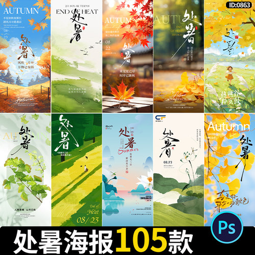 处暑海报二十四节气秋季落叶潮流创意宣传背景模板psd设计素材