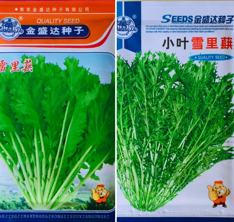 小叶细叶雪里蕻种籽 九头鸟雪里红种孑 花板叶芥辣味浓加工腌制菜