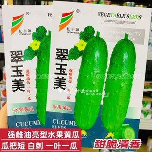 强雌油亮型黄瓜种孑甜脆清香翠玉美水果黄瓜种籽一叶一瓜白刺绿肉