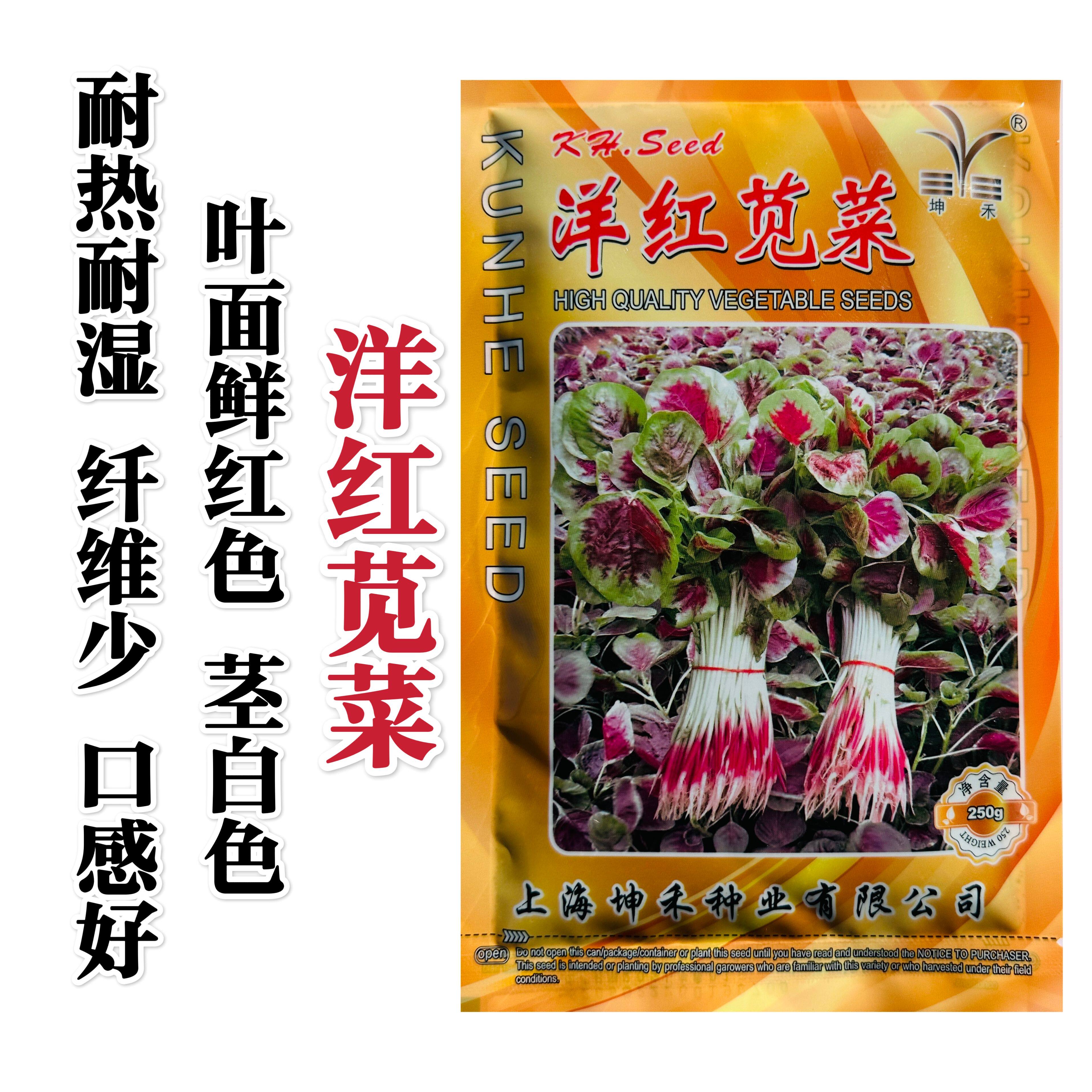 洋红苋菜种子中叶白梗鲜红苋菜种籽早熟耐热耐湿高产春夏秋菜种子