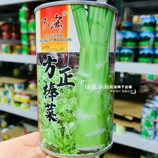 四川芥菜籽巴渝方正棒菜种孑笋子芥菜种籽耐寒重庆花叶大棒菜种子