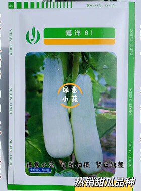 德瑞特春口感脆酥薄皮博洋61甜瓜