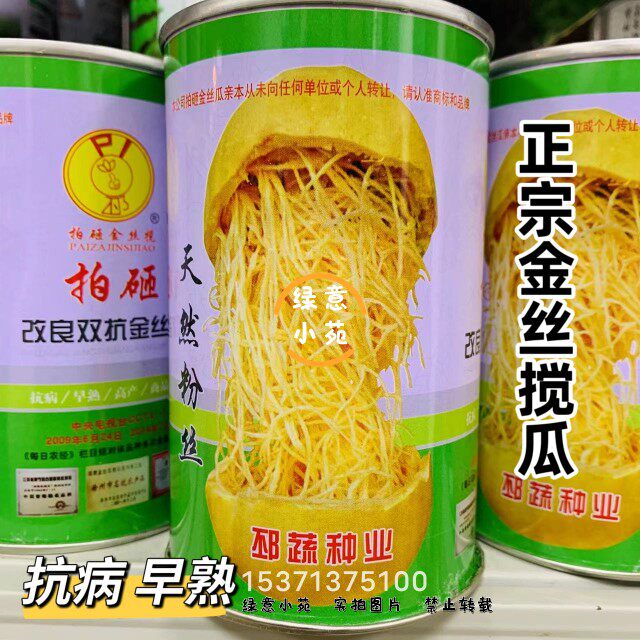 天然粉丝南瓜种子黄金搅瓜种子抗病拍砸改良双抗金丝绞瓜种籽早熟