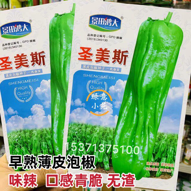 南北方热销早熟薄皮泡椒种子味辣皮薄质脆抗病青椒种籽薄皮椒种孑