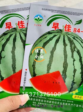 正宗早佳8424西瓜种籽新疆早熟西瓜种孑杂交一代品种糖度高口感好