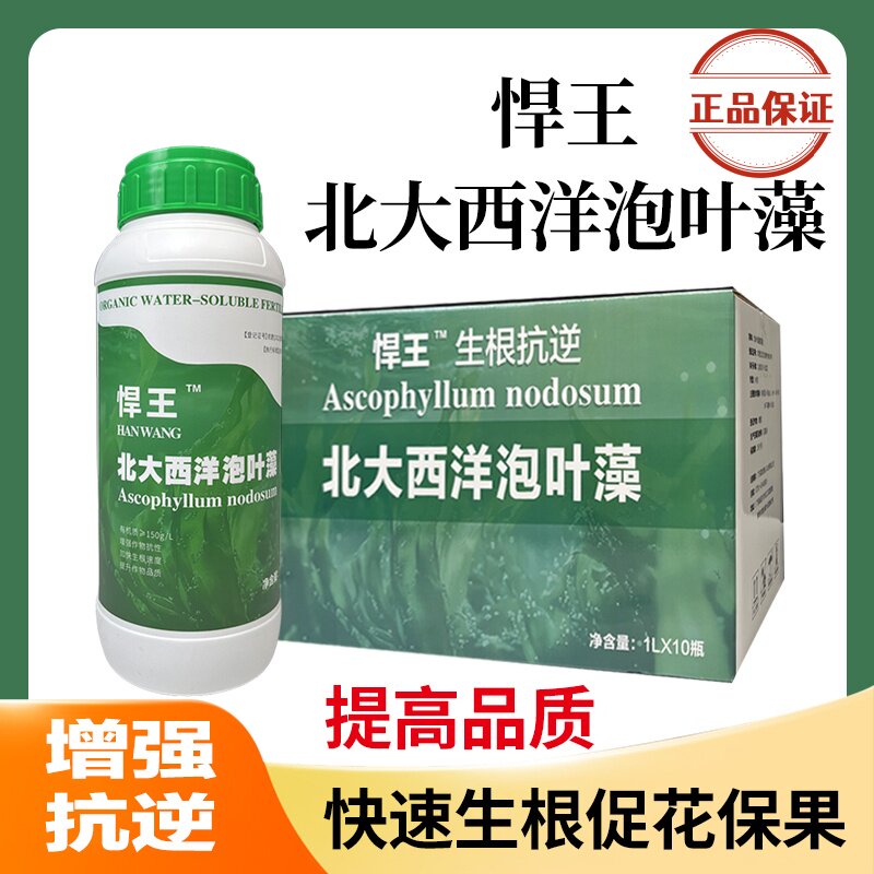 北大西洋泡叶藻提取液叶面肥