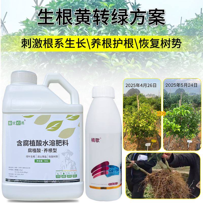 超优农选果树柑橘生根黄转绿方案