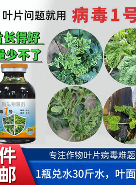 微生物菌剂叶面肥卷叶小叶黄叶