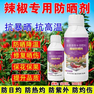 万稼笑辣椒专用防晒剂保花保果防日灼防晒伤抗高温保护膜叶面肥