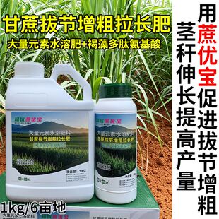 蔗优宝甘蔗拔节增粗拉长肥增大拉长肥强分孽壮苗大量元素水溶肥