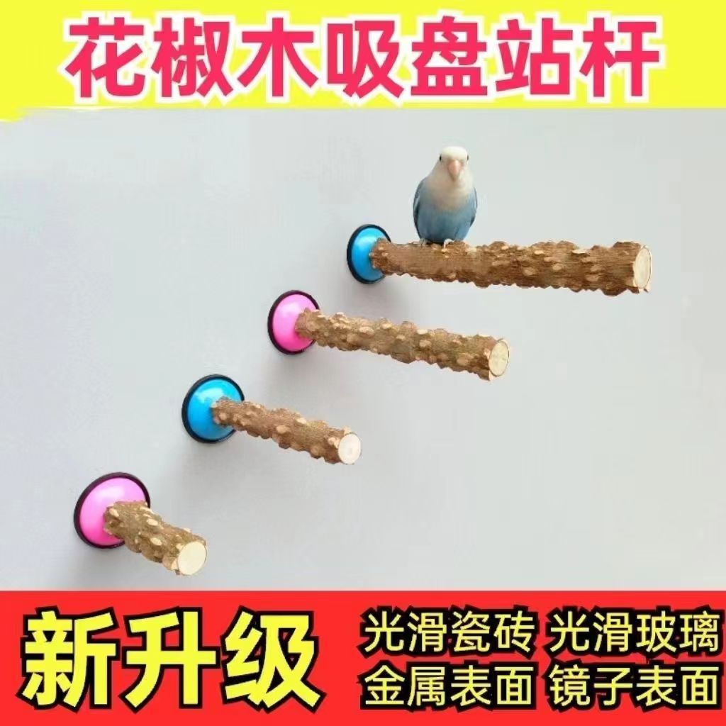 空中站杆花椒木磨牙吸盘