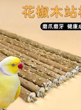 天然花椒木站杆鸟站棍