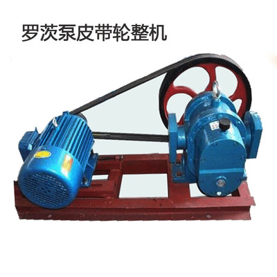 新款LC50/10-0.6罗茨泵原