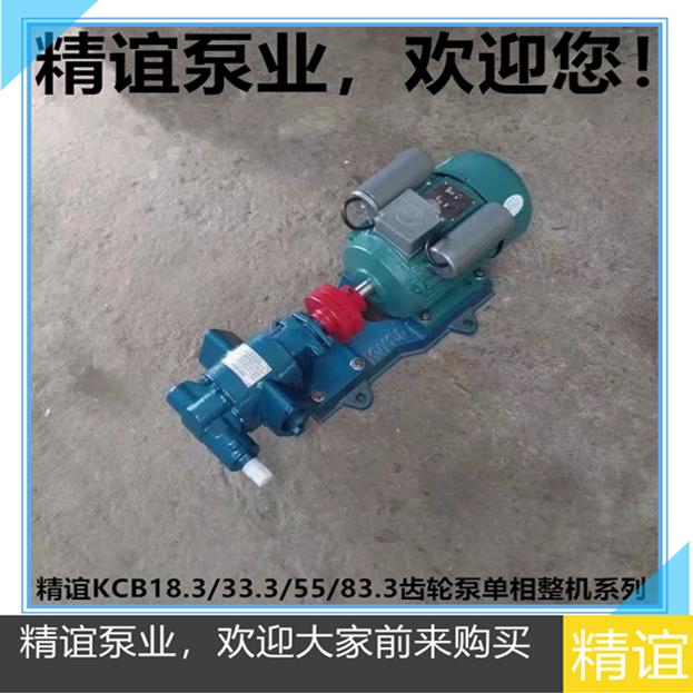 新款高温齿轮油泵KCB18.3