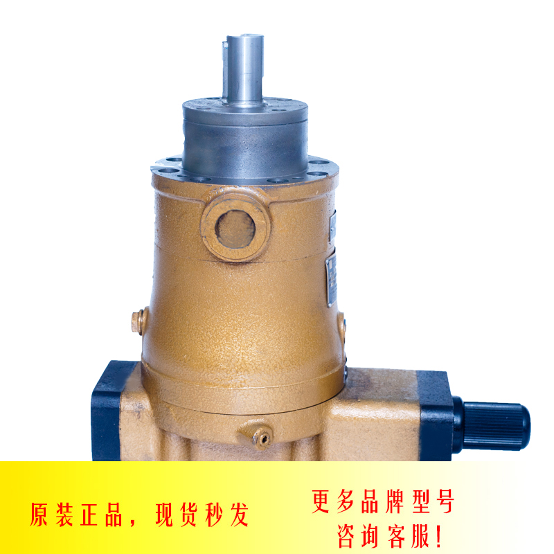 新款启东高压油泵精工牌Y