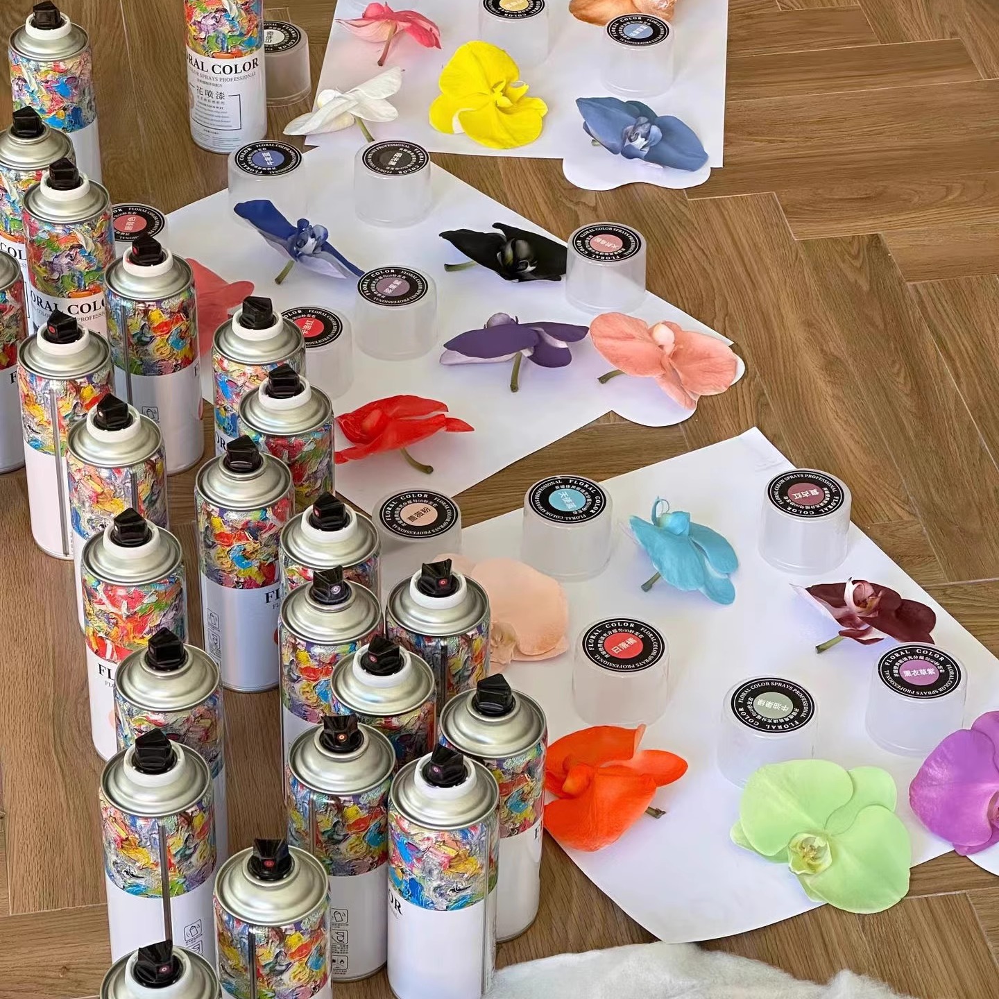 彩喷鲜花喷剂玫瑰喷雾各种颜色