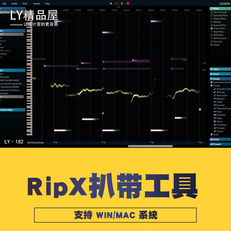 RipX DeepAudio 6.41伴奏提取软件远程专业人声音频分离Win/Mac